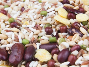 ����������䷽�� ���������Ĵ����ȫ��ʲô