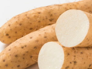 ɽҩ��������ô�� ɽҩ�������������ʲô