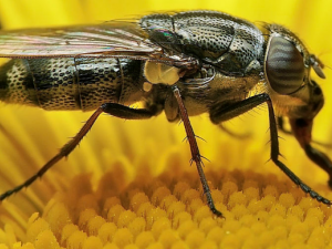 ��֪������ʲô�� ����ʲô��Ч