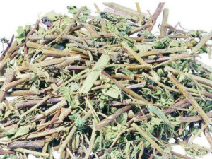 С��Ť�Ĺ�Ч������ С��Ť��ҩ�ü�ֵ