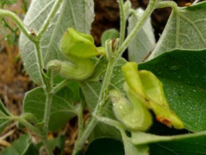 Ѱ�Ƿ�Ĺ�Ч������ Ѱ�Ƿ�������ֹʹ