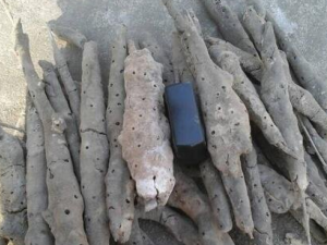 �������Ĺ�Ч������ ������������������