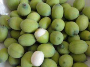 �������ӵĹ�Ч������ Ԥ����Ѫѹ