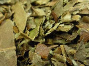 ������Ҷ�Ĺ�Ч������ Ԥ����ð��Ż��