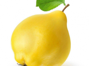 ��������ֹ�ȵ�Сƫ��