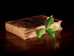 ��ҽ�������ֱ����