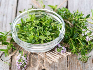 �＾���߲�����Щ��������