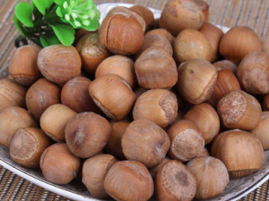 ���������Щ��Ч������