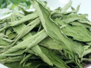 ���Ҷ����Щ��Ч ���Ҷ�ܽ�Ѫ��