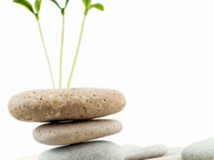 �̵���ҽ������ʮ�����