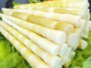 ��������ЩӪ�� ��ͯ�ܶ��������