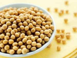 �Իƶ�����Щ���� �ƶ����ܺ���Щʳ��һ���