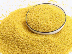 ����Щʳ�ﲹƢ �Ƽ����ֲ�Ƣʳ��