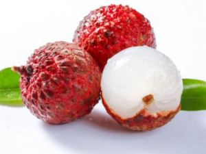 ���ε�ʳ������Щ ��Щʳ���������