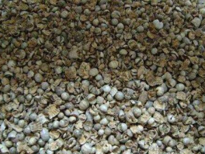 ����ʯ�Ĺ�Ч������ ���ƿ�������