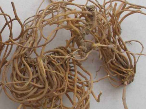 ��ޱ����Щ��Ч������