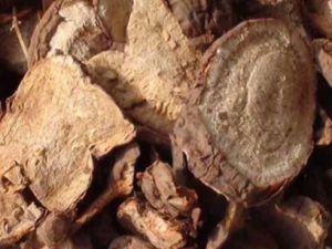 �����Ĺ�Ч������