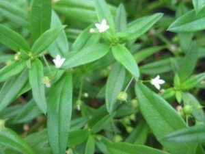 �⵶�ݵ����� �⵶�ݵľ����÷�