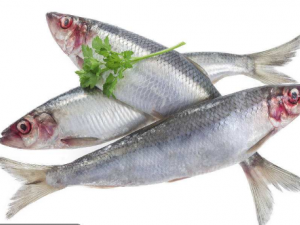 ����������Щ���� ������㲻�ܴ����ʳ��