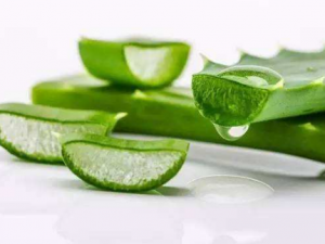 �������«��� «����ķ���