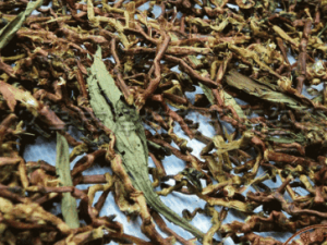 �ɳ��ٲ���ˮ�ȵĹ�Ч