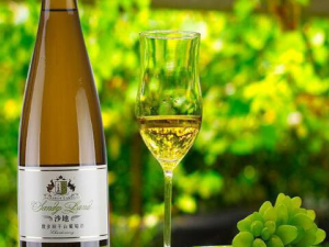 �ɰ����ѾƵĹ�Ч������ Ԥ����Ѫ֬