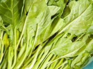 ������Ӫ����ֵ �����Ĺ�Ч������