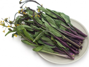 ���̦�Ĺ�Ч������ ���̦��Ӫ����ֵ