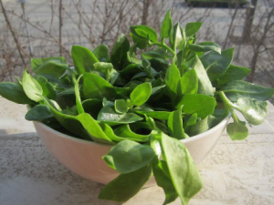 ʲô�Ǵ����� �������Ĺ�Ч������