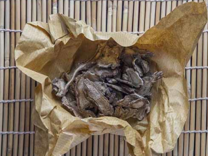 ��ҩ�������̰ܶ���