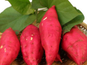 Щ߹Ƥǲʳõ 㻹ڳЩƤ