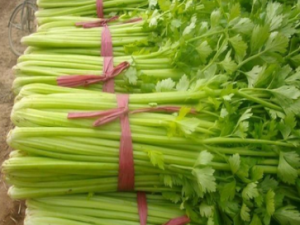 �۲˲��ܺ�ʲôһ��� �۲˵Ĺ�Ч������