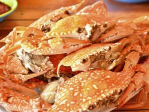 Ů���¾��ڲ��ܳ��з �з��Ӫ����ֵ