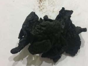 ���ڲ�������Ů������������