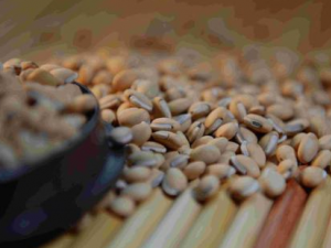 ������ε��� Ů�Թ�����ʲô