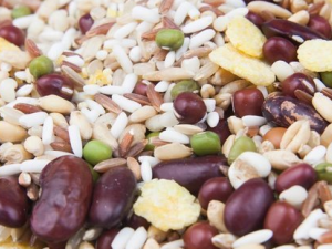 ���������δ����Ӫ��