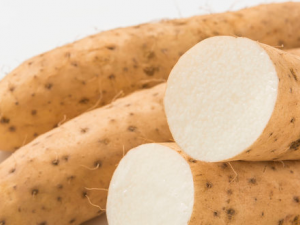 ɽҩ����������Щ���� ɽҩ�����������