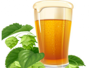 ����������Щ��Ч ���ʳ��������