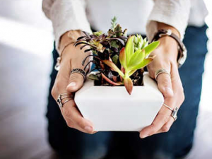 �и��������� �и�����Ҫע��ʲô