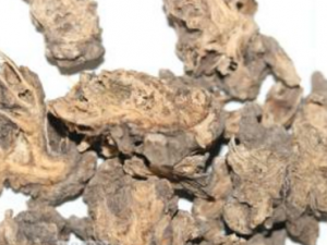 ��޻������Щ��Ч ��޻����ʲô����