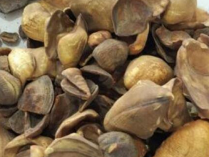 ����Ĺ�Ч������ ������ͨ�����������