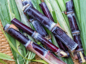 ��Ѫ�ǲ��˳���Щʳ�� Ѫ�Ǹ߳�ʲô��