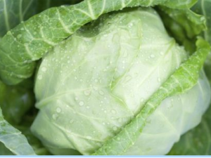 ���ڸ�ʳ�����һЩ�䷽ ������һ��ѧ����