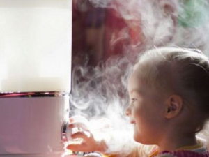 ��ν�������������� ��������Ӧ�������