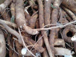 ����ɡ�Ĺ�Ч������ ���ƽ�������