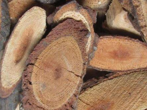 ���ϻ����Ĺ�Ч������ Ԥ����֢