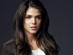 �����＾��������Ҫ��