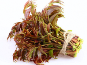 �㴻ѿ����Щ�ҳ�����