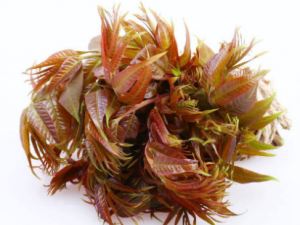 ʳ���㴻����Щ���� �㴻���ܺ���Щ����һ���