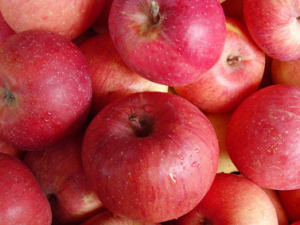 �Ŀ�ˮ���������θ�Ƥ����ˮ�������